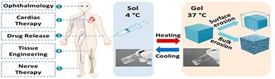 Hybrid Thermo-Responsive Polymer Systems and Their Biomedical Applications